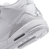 Air Jordan 3 Retro Pure Money (GS) Angle 3