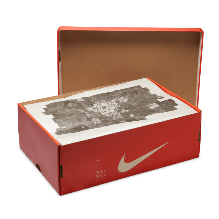 Nike Dunk Low Stranger Things Phantom Angle 6