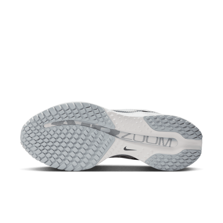 Nike Pegasus Premium Vast Grey (W) Angle 0