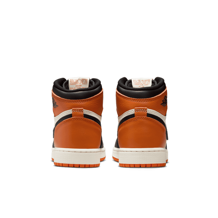 Air Jordan 1 Retro High OG Shattered Backboard (GS) Angle 2