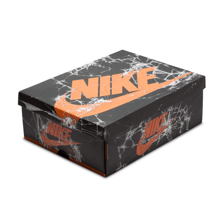 Air Jordan 1 Retro High OG Shattered Backboard (GS) Angle 5