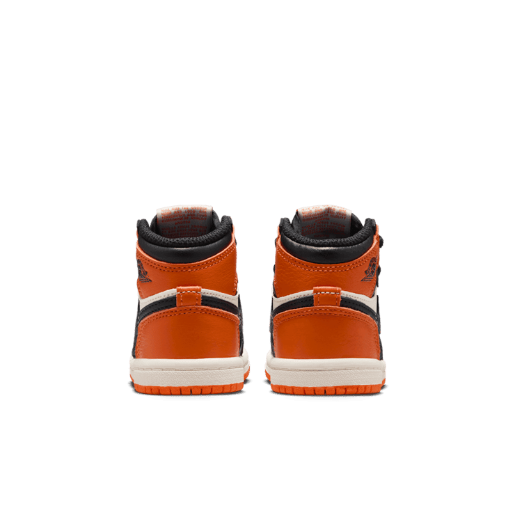 Air Jordan 1 Retro High OG Shattered Backboard (TD) Angle 2