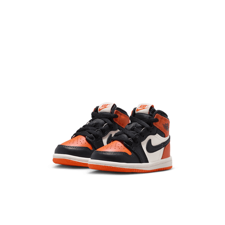 Air Jordan 1 Retro High OG Shattered Backboard (TD) Angle 1