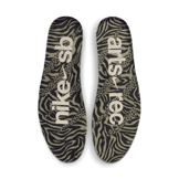 Nike SB Air Trainer 1 Arts-Rec Angle 8