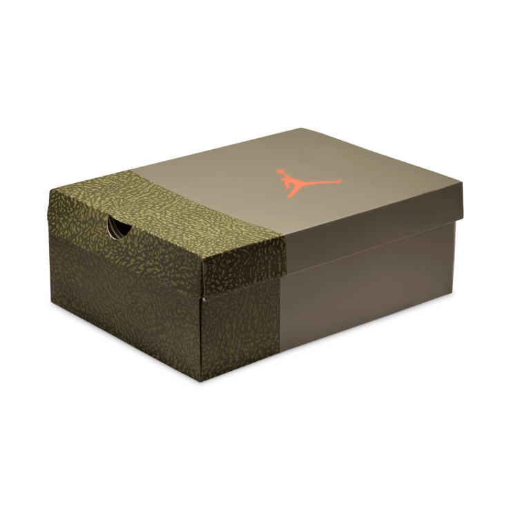 Air Jordan 3 Retro Family Affair Angle 3