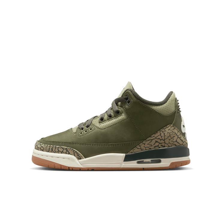 Air Jordan 3 Retro Family Affair (GS) Angle 2