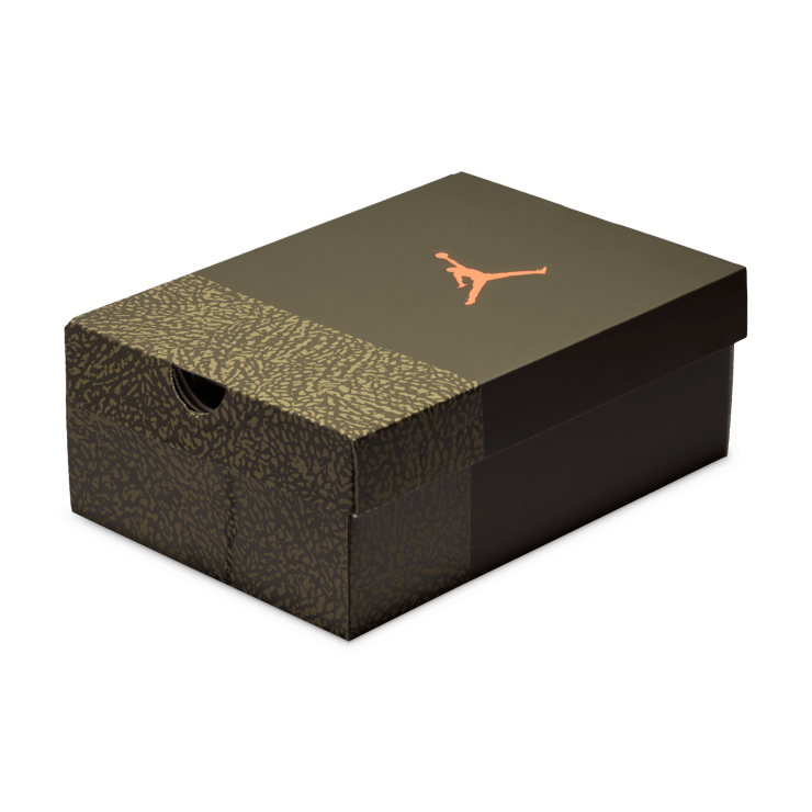 Air Jordan 3 Retro Family Affair (GS) Angle 6