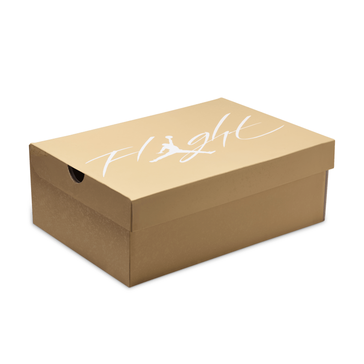 Air Jordan 4 Retro Cozy Girl (W) Angle 6