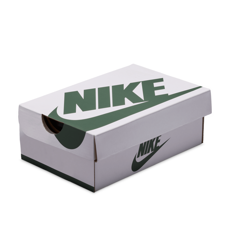 Air Jordan 1 Retro High OG Pale Ivory Pro Green (TD) Angle 5