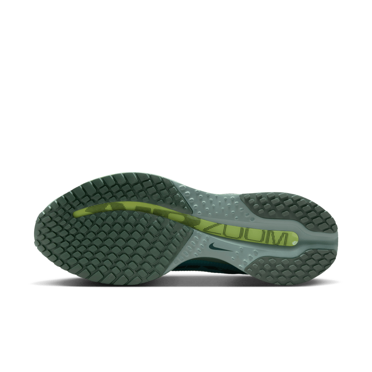 Nike Pegasus Premium Cannon Angle 0