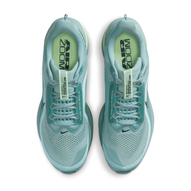 Nike Pegasus Premium Cannon Angle 6