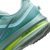 Nike Pegasus Premium Cannon Angle 7