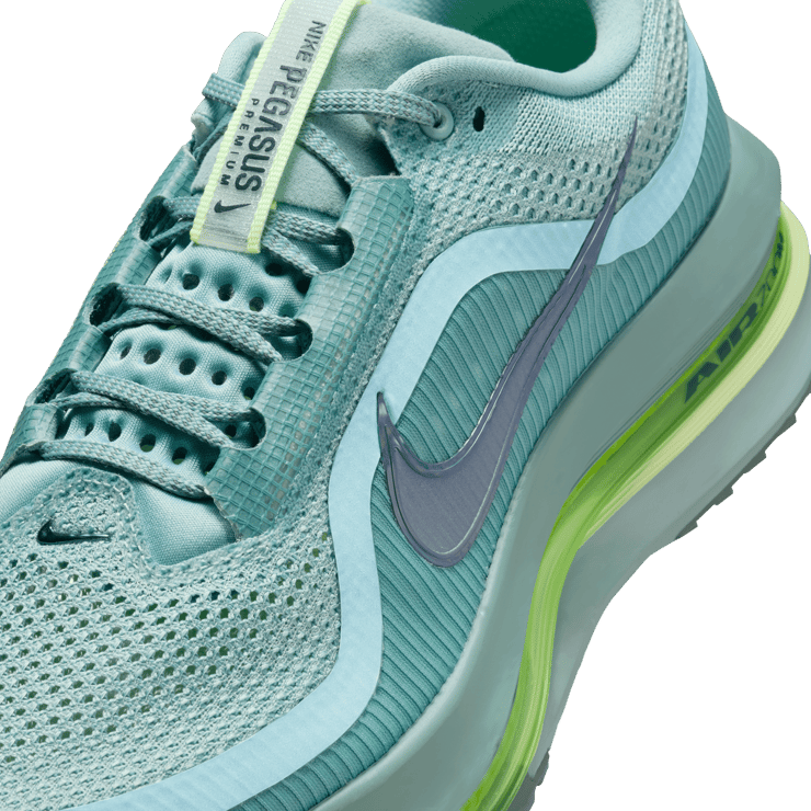 Nike Pegasus Premium Cannon Angle 8