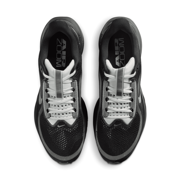 Nike Pegasus Premium SP Black Metallic Silver Angle 18