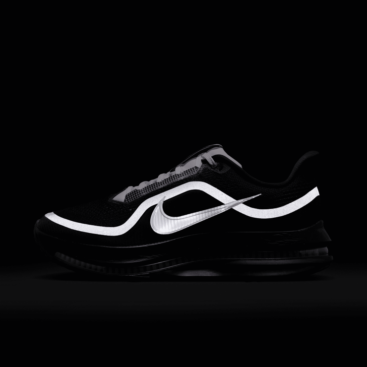 Nike Pegasus Premium SP Black Metallic Silver Angle 2