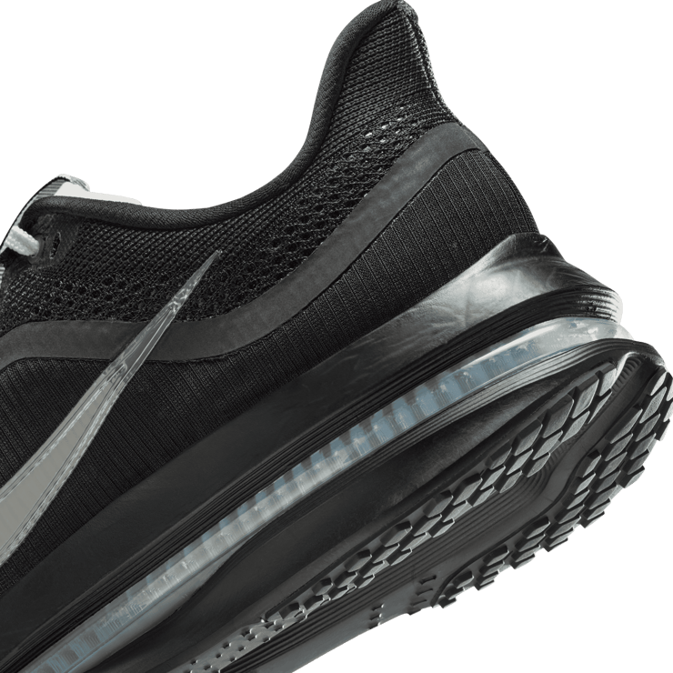 Nike Pegasus Premium SP Black Metallic Silver Angle 23