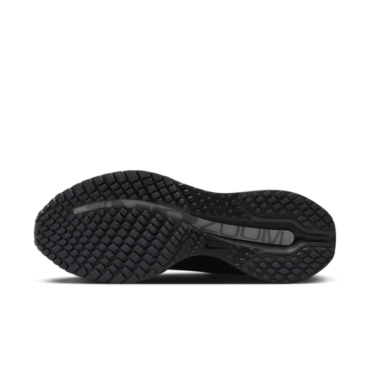 Nike Pegasus Premium SP Black Metallic Silver Angle 5