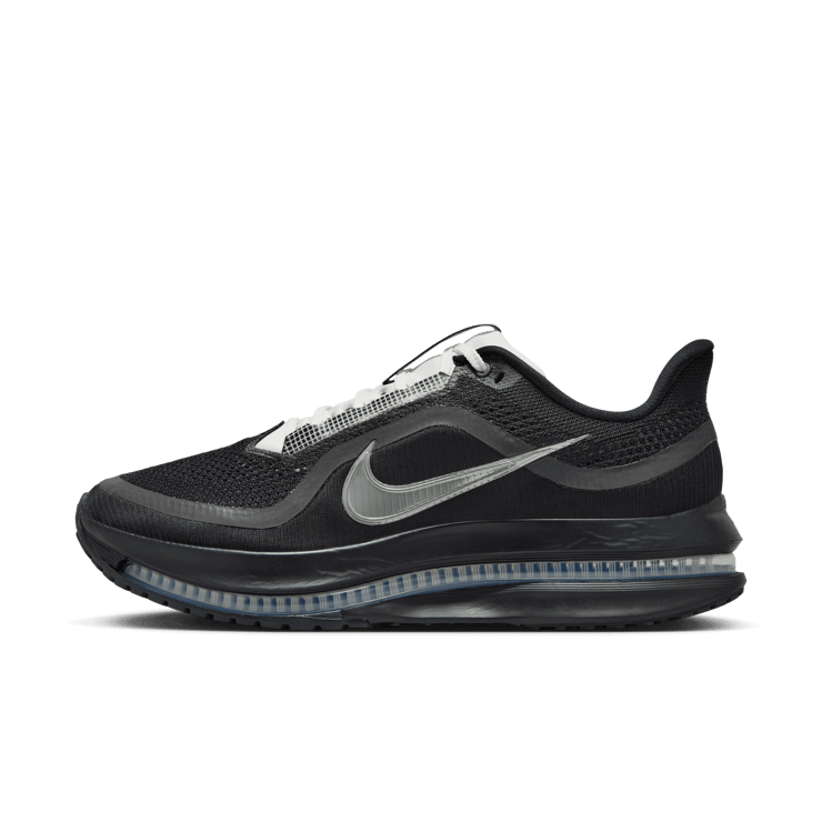 Nike Pegasus Premium SP Black Metallic Silver Angle 16
