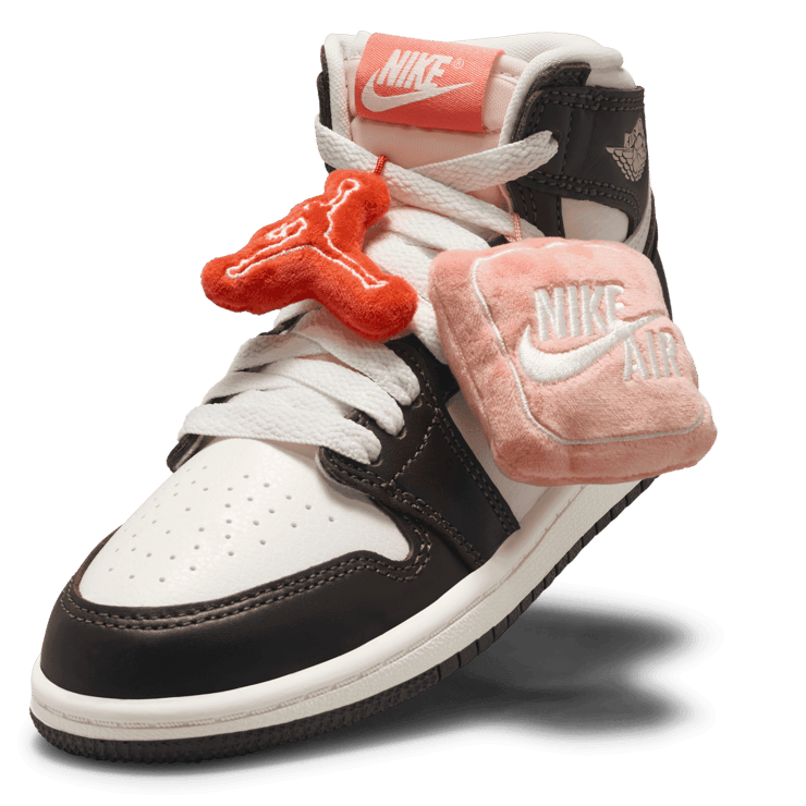 Air Jordan 1 Retro High OG Baroque Brown Light Madder Root (PS) Angle 5