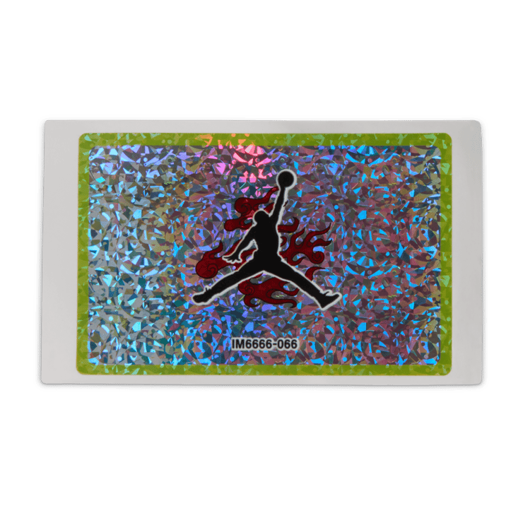 Jordan Session Raging Bull Angle 5