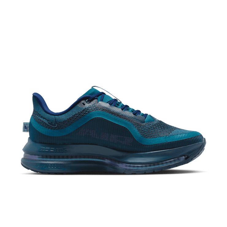 Nike Pegasus Premium Swarovski (W) Angle 14