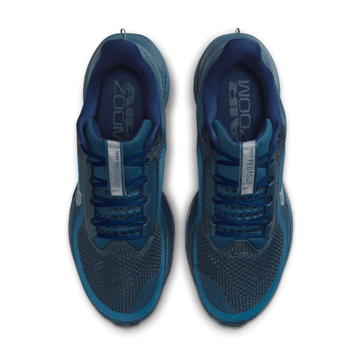 Nike Pegasus Premium Swarovski (W) Angle 19