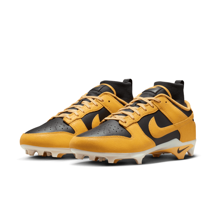 Nike Alpha Menace Dunk SE Iowa  Angle 10