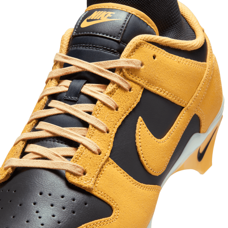 Nike Alpha Menace Dunk SE Iowa  Angle 24