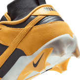 Nike Alpha Menace Dunk SE Iowa  Angle 22