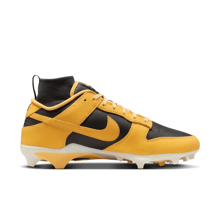 Nike Alpha Menace Dunk SE Iowa  Angle 5