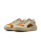 Nike Pegasus 41 Gore-Tex Running Poets Angle 14