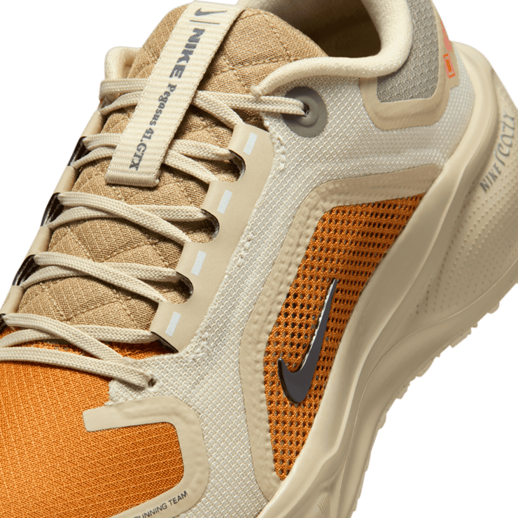 Nike Pegasus 41 Gore-Tex Running Poets Angle 28