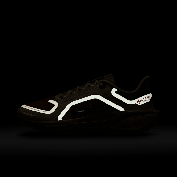 Nike Pegasus 41 Gore-Tex Running Poets Angle 1
