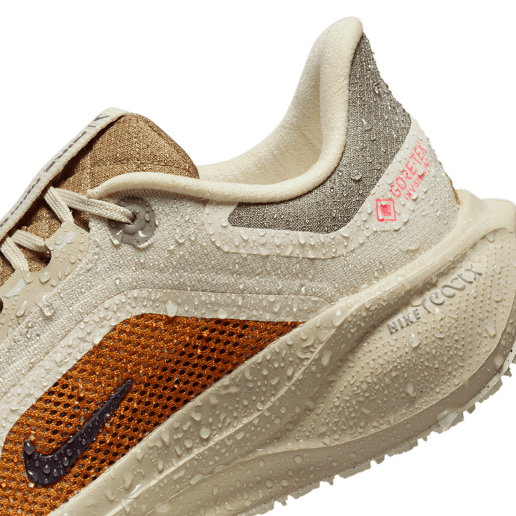 Nike Pegasus 41 Gore-Tex Running Poets Angle 20