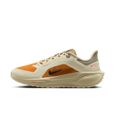 Nike Pegasus 41 Gore-Tex Running Poets Angle 7