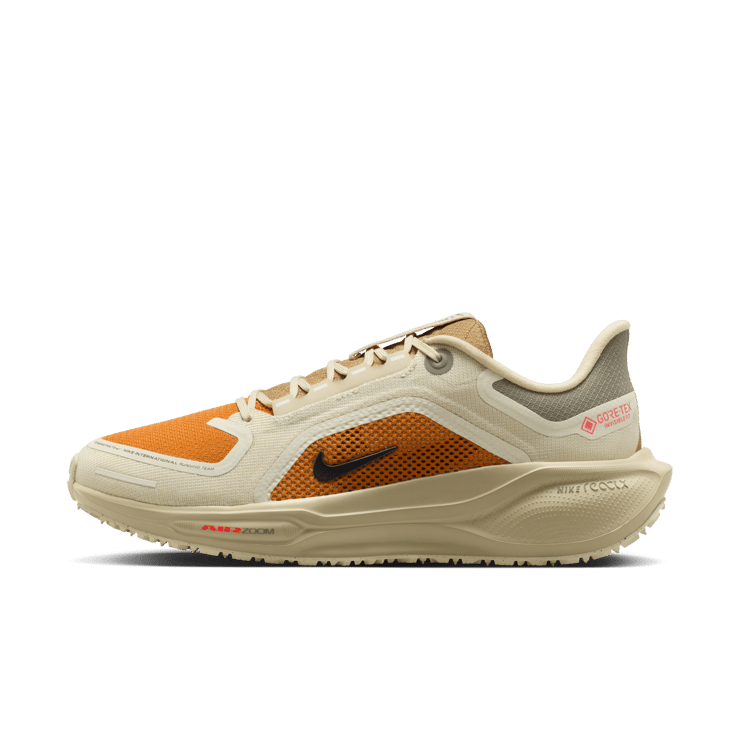 Nike Pegasus 41 Gore-Tex Running Poets Angle 6