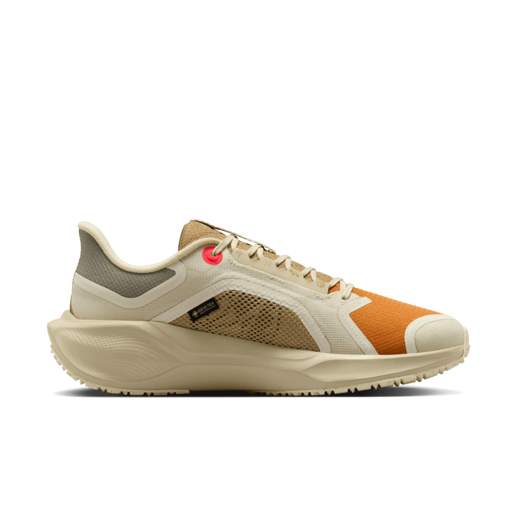 Nike Pegasus 41 Gore-Tex Running Poets Angle 11