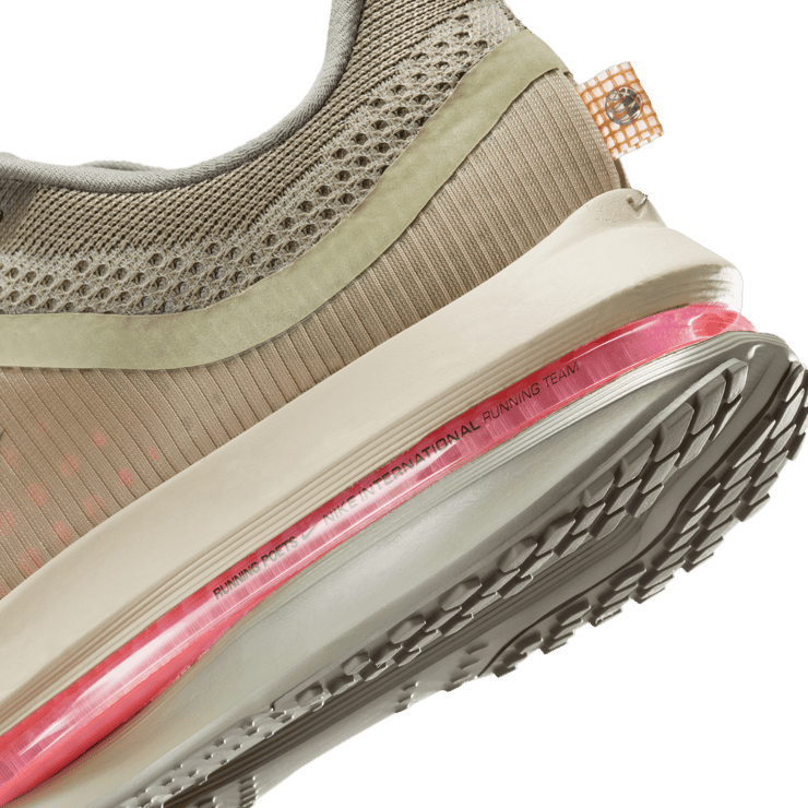 Nike Pegasus Premium Running Poets Angle 7