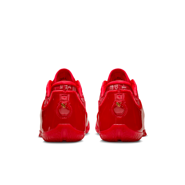 Nike LeBron 23 Best in Class Angle 8