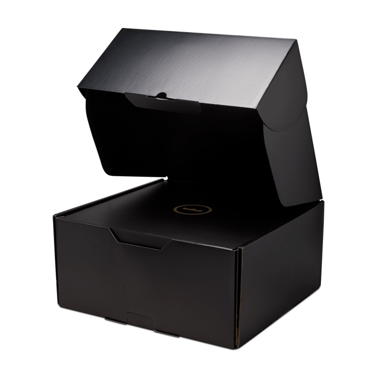 Nike LeBron 23 Best in Class Angle 19