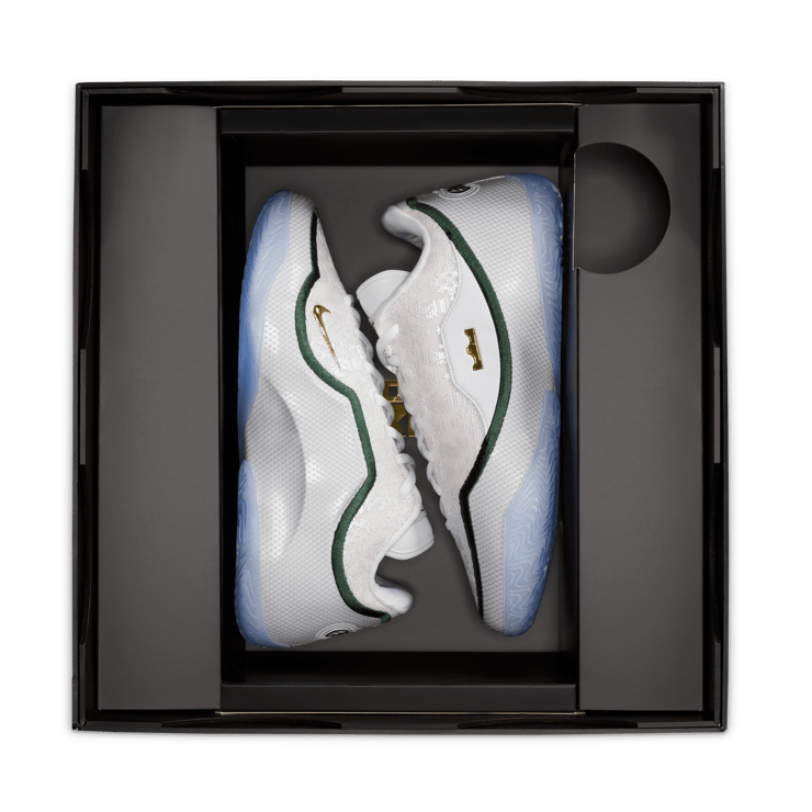 Nike LeBron 23 Point Forward Angle 12