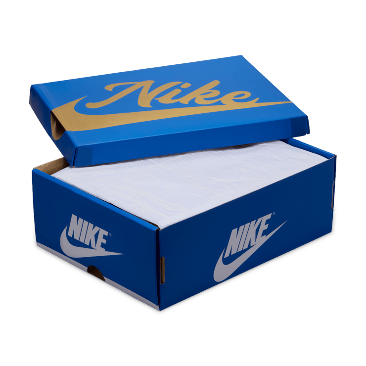 Air Jordan 1 Retro High OG All-Star Weekend (GS) Angle 8