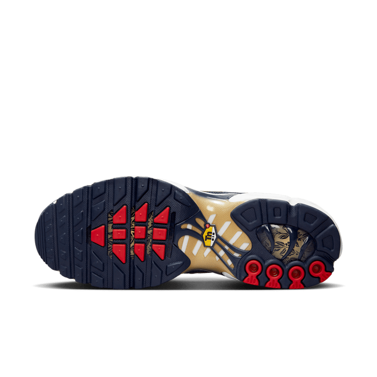 Nike Air Max Plus French Football Federation Angle 0