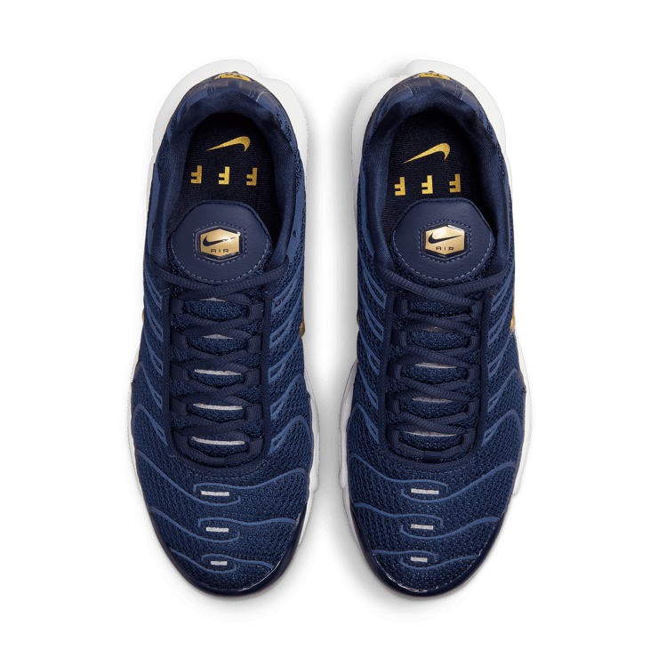 Nike Air Max Plus French Football Federation Angle 1