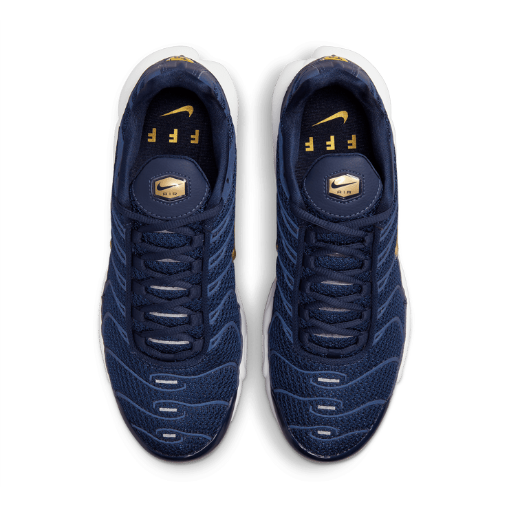 Nike Air Max Plus French Football Federation Angle 1