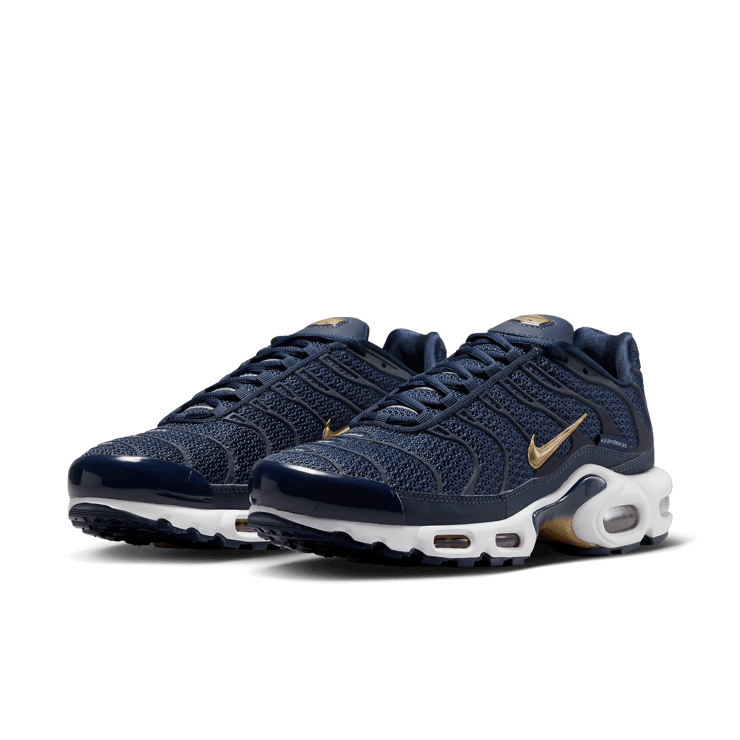 Nike Air Max Plus French Football Federation Angle 2