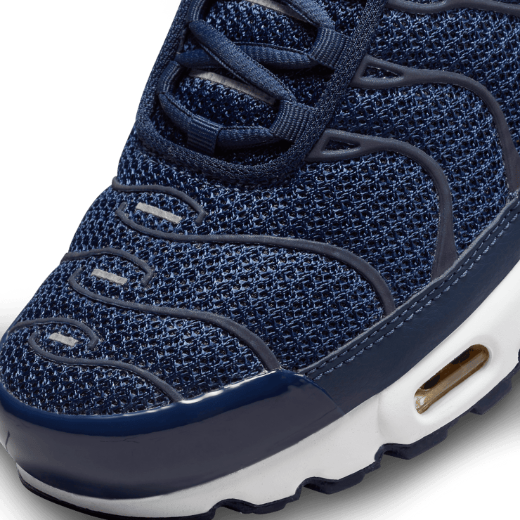 Nike Air Max Plus French Football Federation Angle 4