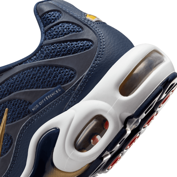 Nike Air Max Plus French Football Federation Angle 5