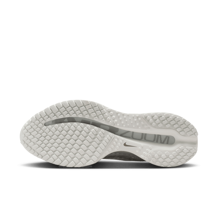 Nike Pegasus Premium Summit White (W)  Angle 5