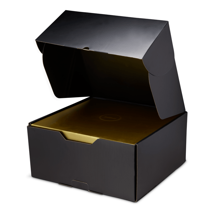 Nike LeBron 23 Shut Up and Dribble Angle 4